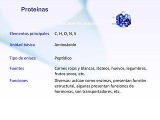 Proteínas

                          Resumen de proteínas

Elementos principales   C, H, O, N, S

Unidad básica           Aminoácido


Tipo de enlace          Peptídico

Fuentes                 Carnes rojas y blancas, lácteos, huevos, legumbres,
                        frutos secos, etc.
Funciones               Diversas: actúan como enzimas, presentan función
                        estructural, algunas presentan funciones de
                        hormonas, son transportadores, etc.
 