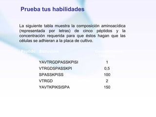 Prueba tus habilidades

La siguiente tabla muestra la composición aminoacídica
(representada por letras) de cinco péptidos y la
concentración requerida para que éstos hagan que las
células se adhieran a la placa de cultivo.

Péptido   Estructura                  Concentración
                                        (mg/mL)
          YAVTRGDPASSKPISI                  1
          VTRGDSPASSKPI                    0,5
          SPASSKPISS                      100
          VTRGD                             2
          YAVTKPIKSISPA                   150
 