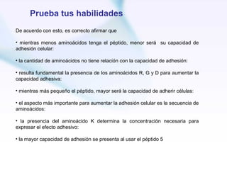 Prueba tus habilidades
De acuerdo con esto, es correcto afirmar que

• mientras menos aminoácidos tenga el péptido, menor será su capacidad de
adhesión celular:

• la cantidad de aminoácidos no tiene relación con la capacidad de adhesión:

• resulta fundamental la presencia de los aminoácidos R, G y D para aumentar la
capacidad adhesiva:

• mientras más pequeño el péptido, mayor será la capacidad de adherir células:

• el aspecto más importante para aumentar la adhesión celular es la secuencia de
aminoácidos:

• la presencia del aminoácido K determina la concentración necesaria para
expresar el efecto adhesivo:

• la mayor capacidad de adhesión se presenta al usar el péptido 5
 