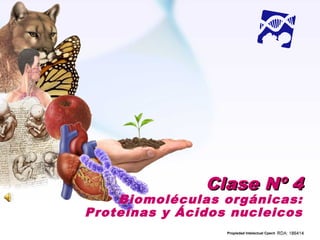 Clase Nº 4
    Biomoléculas orgánicas:
Proteínas y Ácidos nucleicos
                  Propiedad Intelectual Cpech
 