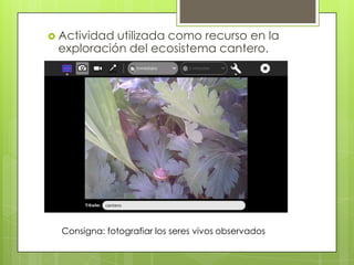  Actividad utilizada como recurso en la
exploración del ecosistema cantero.
Consigna: fotografiar los seres vivos observa...