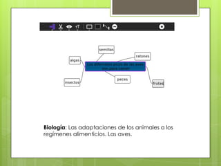 Biología: Las adaptaciones de los animales a los
regímenes alimenticios. Las aves.
 