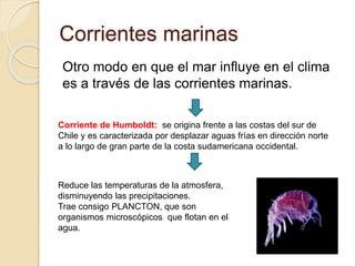Corrientes marinas
Otro modo en que el mar influye en el clima
es a través de las corrientes marinas.
Corriente de Humboldt: se origina frente a las costas del sur de
Chile y es caracterizada por desplazar aguas frías en dirección norte
a lo largo de gran parte de la costa sudamericana occidental.
Reduce las temperaturas de la atmosfera,
disminuyendo las precipitaciones.
Trae consigo PLANCTON, que son
organismos microscópicos que flotan en el
agua.
 