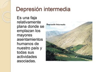 Depresión intermedia
Es una faja
relativamente
plana donde se
emplazan los
mayores
asentamientos
humanos de
nuestro país y
todas sus
actividades
asociadas.
 