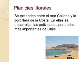 Planicies litorales
Se extienden entre el mar Chileno y la
cordillera de la Costa. En ellas se
desarrollan las actividades portuarias
más importantes de Chile.
 