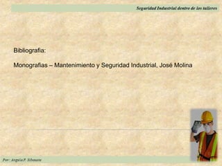 Bibliografia:
Monografias – Mantenimiento y Seguridad Industrial, José Molina
 