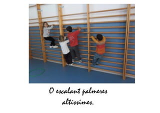 O escalant palmeres
altíssimes.
 