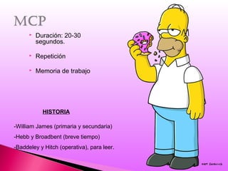  Duración: 20-30
segundos.
 Repetición
 Memoria de trabajo
-William James (primaria y secundaria)
-Hebb y Broadbent (breve tiempo)
-Baddeley y Hitch (operativa), para leer.
HISTORIA
 