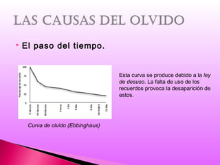  El paso del tiempo.
Curva de olvido (Ebbinghaus)
Esta curva se produce debido a la ley
de desuso. La falta de uso de los
recuerdos provoca la desaparición de
estos.
 