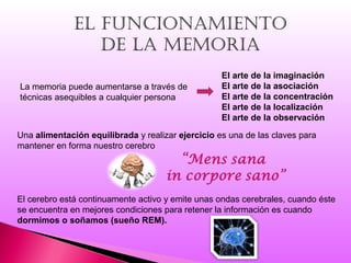 eL Funcionamiento
de La memoria
La memoria puede aumentarse a través de
técnicas asequibles a cualquier persona
El arte de la imaginación
El arte de la asociación
El arte de la concentración
El arte de la localización
El arte de la observación
Una alimentación equilibrada y realizar ejercicio es una de las claves para
mantener en forma nuestro cerebro
El cerebro está continuamente activo y emite unas ondas cerebrales, cuando éste
se encuentra en mejores condiciones para retener la información es cuando
dormimos o soñamos (sueño REM).
 