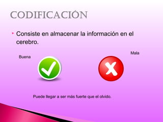  Consiste en almacenar la información en el
cerebro.
Buena
Mala
Puede llegar a ser más fuerte que el olvido.
 