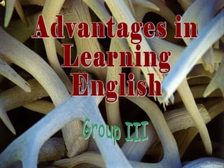 Advantages in  Learning  English Group III 