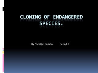 Cloning of Endangered Species. By Nick Del Campo             Period 8 