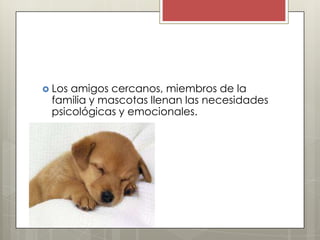  Losamigos cercanos, miembros de la
 familia y mascotas llenan las necesidades
 psicológicas y emocionales.
 