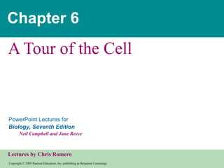Chapter 6 A Tour of the Cell 