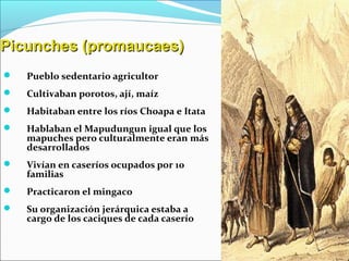 Picunches (promaucaes)Picunches (promaucaes)
 Pueblo sedentario agricultor
 Cultivaban porotos, ají, maíz
 Habitaban entre los ríos Choapa e Itata
 Hablaban el Mapudungun igual que los
mapuches pero culturalmente eran más
desarrollados
 Vivían en caseríos ocupados por 10
familias
 Practicaron el mingaco
 Su organización jerárquica estaba a
cargo de los caciques de cada caserío
 