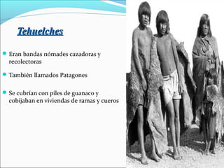 TehuelchesTehuelches
Eran bandas nómades cazadoras y
recolectoras
También llamados Patagones
Se cubrían con piles de guanaco y
cobijaban en viviendas de ramas y cueros
 