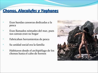 Chonos, Alacalufes y YaghanesChonos, Alacalufes y Yaghanes
• Eran bandas canoeras dedicadas a la
pesca
• Eran llamados nómades del mar, pues
sus canoas eran su hogar
• Fabricaban herramientas de pesca
• Su unidad social era la familia
• Habitaron desde el archipiélago de los
chonos hasta el cabo de hornos
 