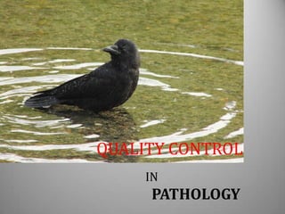 QUALITY CONTROL IN
   PATHOLOGY

   QUALITY CONTROL
         IN
          PATHOLOGY
 