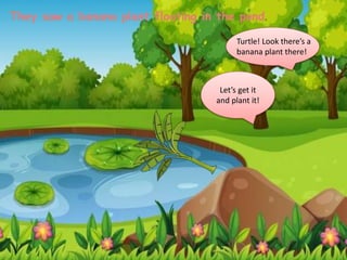 They saw a banana plant floating in the pond.
Turtle! Look there’s a
banana plant there!
Let’s get it
and plant it!
 