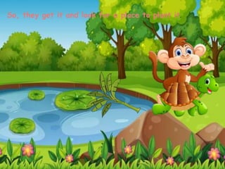 So, they get it and look for a place to plant it.
 