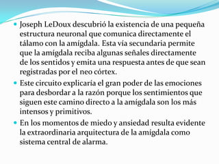  Joseph LeDoux descubrió la existencia de una pequeña
estructura neuronal que comunica directamente el
tálamo con la amígdala. Esta vía secundaria permite
que la amígdala reciba algunas señales directamente
de los sentidos y emita una respuesta antes de que sean
registradas por el neo córtex.
 Este circuito explicaría el gran poder de las emociones
para desbordar a la razón porque los sentimientos que
siguen este camino directo a la amígdala son los más
intensos y primitivos.
 En los momentos de miedo y ansiedad resulta evidente
la extraordinaria arquitectura de la amígdala como
sistema central de alarma.
 
