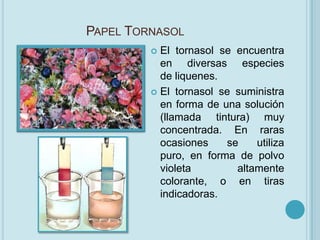 PAPEL TORNASOL
          El tornasol se encuentra
           en diversas especies
           de liquenes.
          El tornasol se suministra
           en forma de una solución
           (llamada tintura) muy
           concentrada. En raras
           ocasiones    se    utiliza
           puro, en forma de polvo
           violeta        altamente
           colorante, o en tiras
           indicadoras.
 