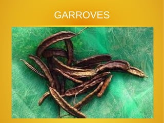GARROVES
 