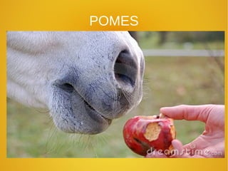 POMES
 