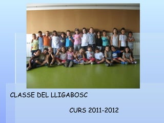 CLASSE DEL LLIGABOSC

               CURS 2011-2012
 