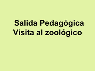Salida Pedagógica
Visita al zoológico
 