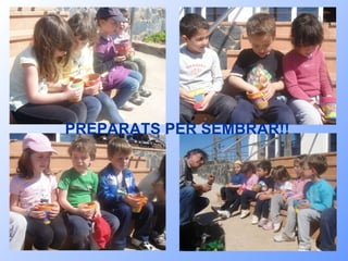 FINS UN ALTRE! PREPARATS PER SEMBRAR!! 