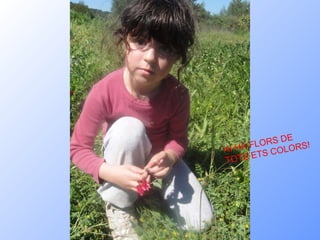 HI HA FLORS DE TOTS ETS COLORS! 