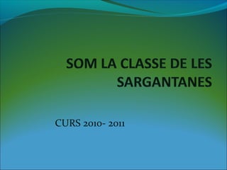 CURS 2010- 2011
 
