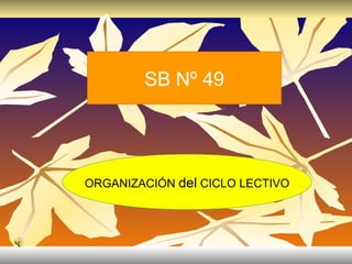 SB Nº 49 ORGANIZACIÓN  del  CICLO LECTIVO 