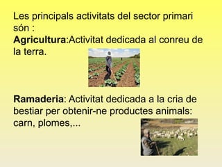 Les principals activitats del sector primari
són :
Agricultura:Activitat dedicada al conreu de
la terra.
Ramaderia: Activitat dedicada a la cria de
bestiar per obtenir-ne productes animals:
carn, plomes,...
 