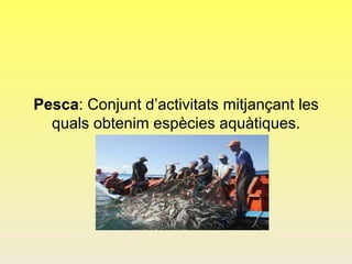 Pesca: Conjunt d’activitats mitjançant les
quals obtenim espècies aquàtiques.
 