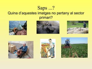 Saps ...?
Quina d’aquestes imatges no pertany al sector
primari?
 