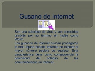 Gusano de InternetSon una subclase de virus y son conocidos también por su término en inglés como Worm. Los gusanos de internet buscan propagarse lo más rápido posible tratando de infectar el mayor número posible de equipos. Esta característica tiene como consecuencia la posibilidad del colapso de las comunicaciones en Internet. 