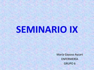 SEMINARIO IX
María Gayoso Aycart
ENFERMERÍA
GRUPO 6
 