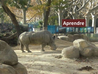 Aprendre