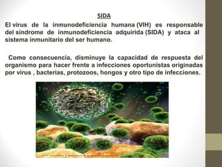 SIDA
El virus de la inmunodeficiencia humana (VIH) es responsable
del síndrome de inmunodeficiencia adquirida (SIDA) y ataca al
sistema inmunitario del ser humano.
Como consecuencia, disminuye la capacidad de respuesta del
organismo para hacer frente a infecciones oportunistas originadas
por virus , bacterias, protozoos, hongos y otro tipo de infecciones.
 