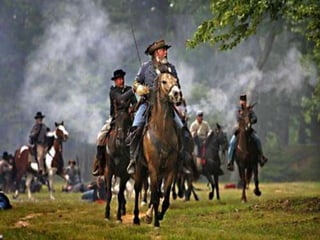 Power sharing class 10