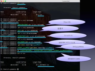 フルパス
拡張子
フォルダパス
拡張子無しのファイル名
日付(yyyyMMdd)
名称変更する処理
 