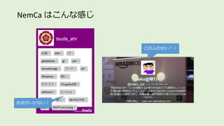 NemCa はこんな感じ
合点がいかない！
この人のせい！！
 