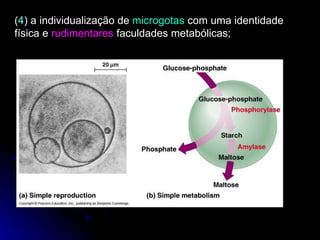 ( 4 ) a individualização de  microgotas  com uma identidade física e  rudimentares  faculdades metabólicas; 