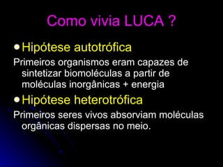 Como vivia LUCA ? Hipótese autotrófica Primeiros organismos eram capazes de sintetizar biomoléculas a partir de moléculas inorgânicas + energia Hipótese heterotrófica Primeiros seres vivos absorviam moléculas orgânicas dispersas no meio. 