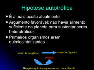 Hipótese   autotrófica É a mais aceita atualmente Argumento favorável: não havia alimento suficiente no planeta para sustentar seres heterotróficos. Primeiros organismos eram quimiosintetizantes Molécula inorgânica   Molécula Orgânica   energia Reações químicas que ocorrem no ambiente 