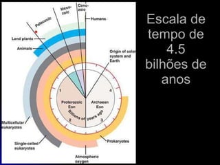 Escala de tempo de 4.5 bilhões de anos 
