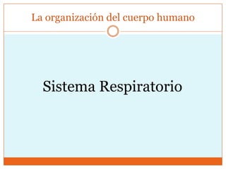 La organización del cuerpo humano Sistema Respiratorio 